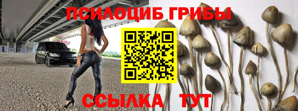 Псилоцибиновые грибы MAGIC MUSHROOMS Людиново
