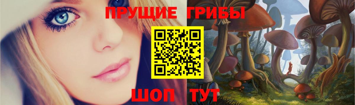 Псилоцибиновые грибы мухоморы  Вход с VPN  Людиново 